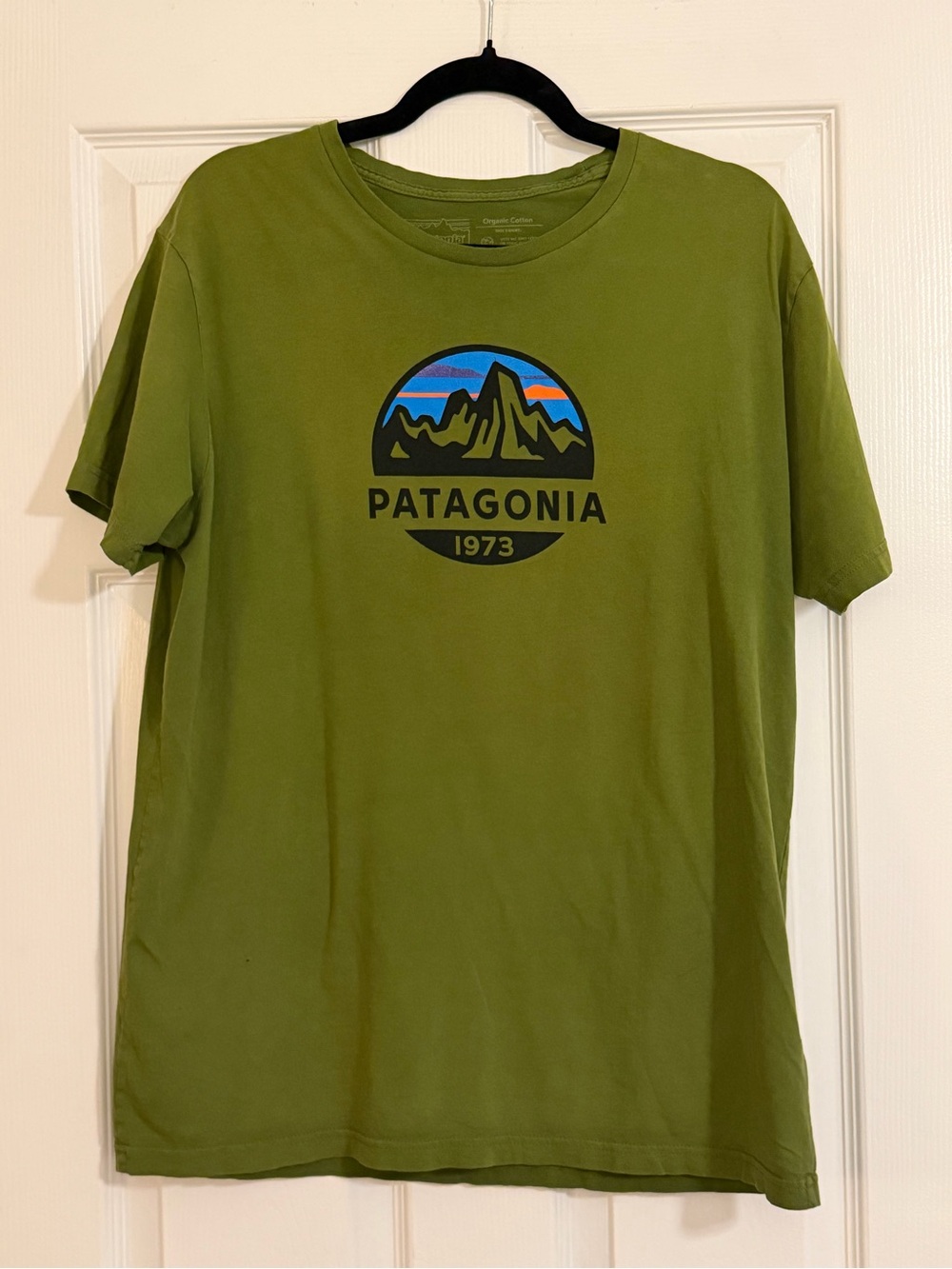 Patagonia Men's Fitz Roy Slim Fit Organic Cotton Green Logo T-Shirt